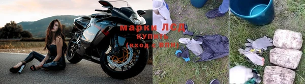трава Вязники
